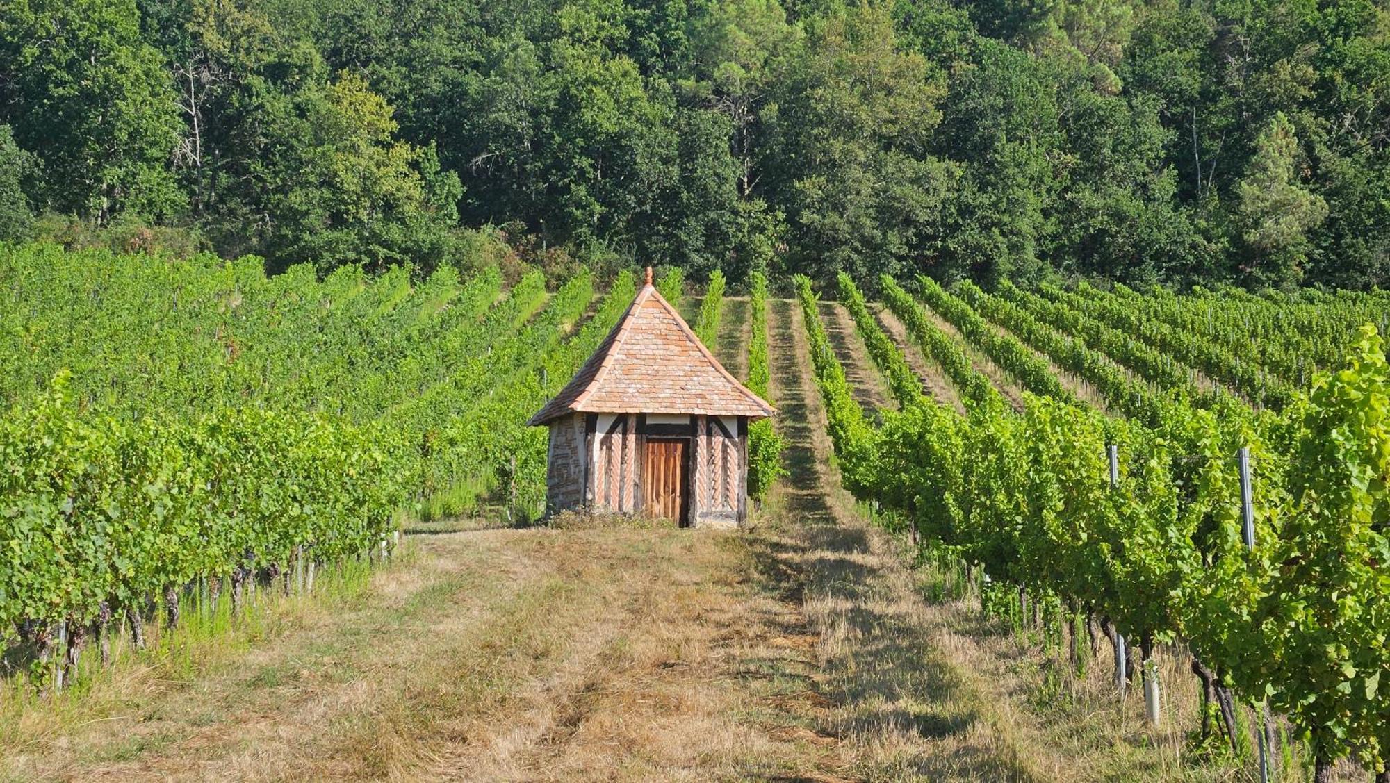 Chambres Et Gites Les Deux Chenes Pres De Bergerac Le Fleix 외부 사진