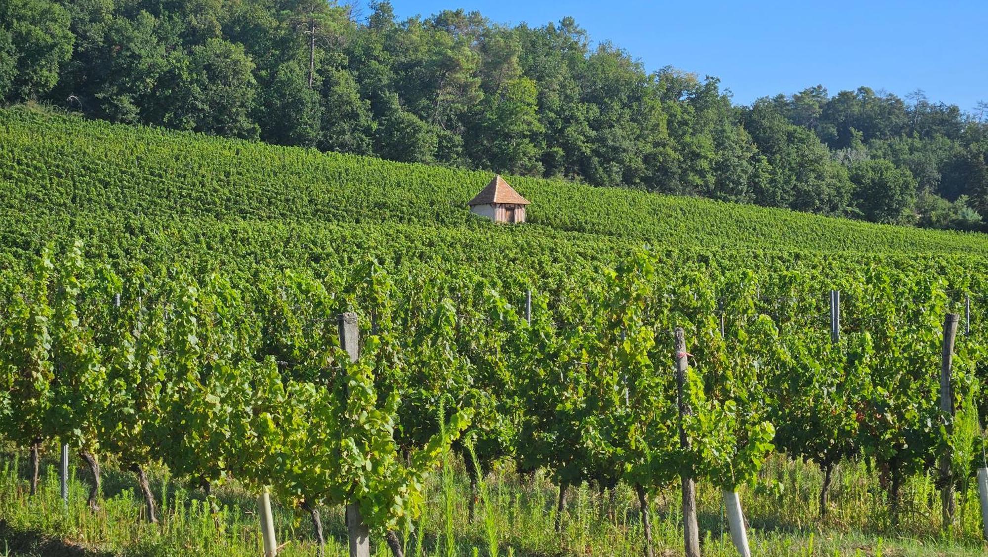 Chambres Et Gites Les Deux Chenes Pres De Bergerac Le Fleix 외부 사진