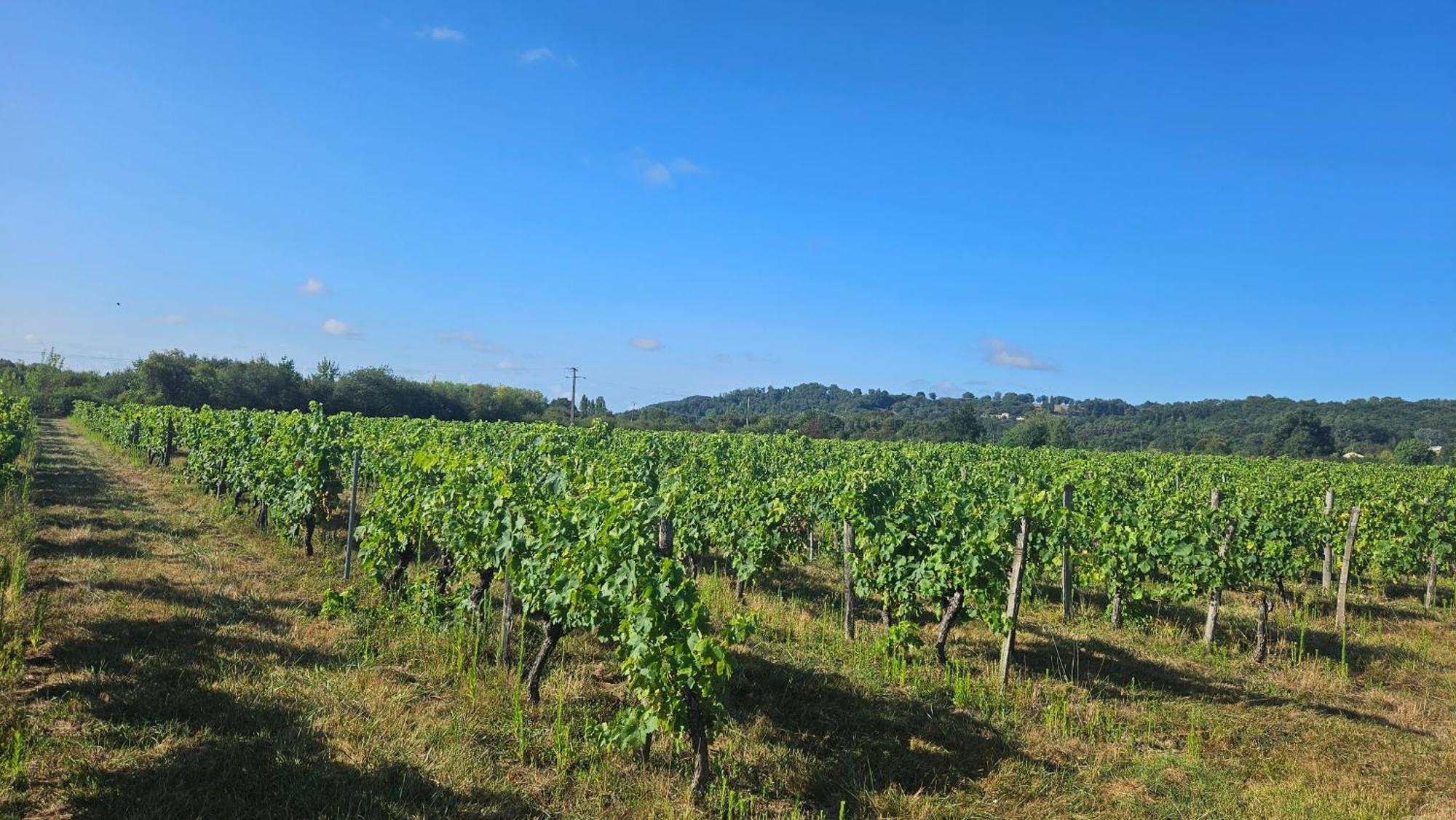 Chambres Et Gites Les Deux Chenes Pres De Bergerac Le Fleix 외부 사진