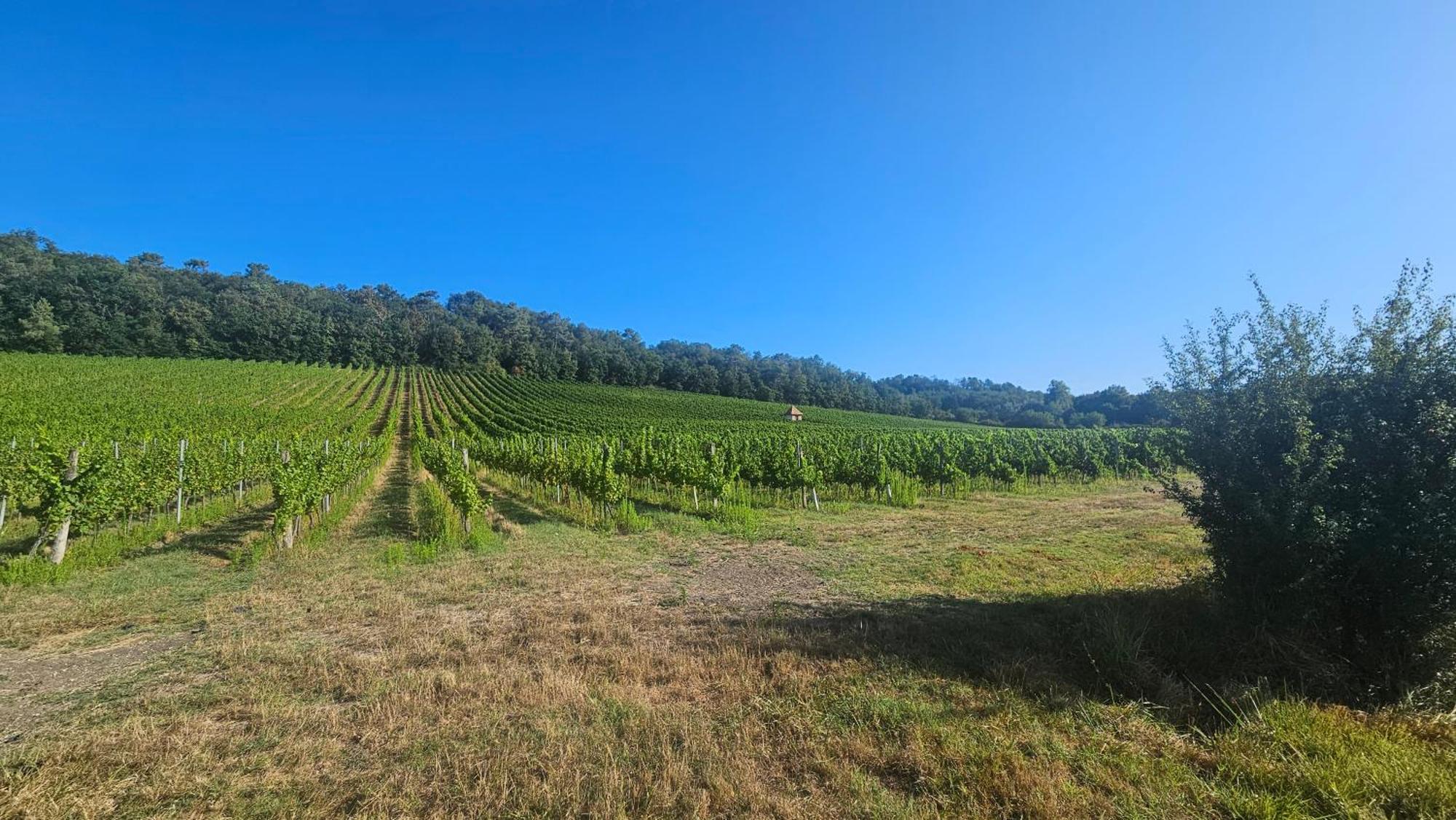 Chambres Et Gites Les Deux Chenes Pres De Bergerac Le Fleix 외부 사진
